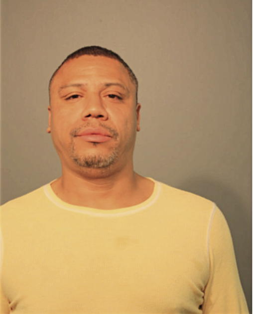 SHAWN L WILLIAMS, Cook County, Illinois