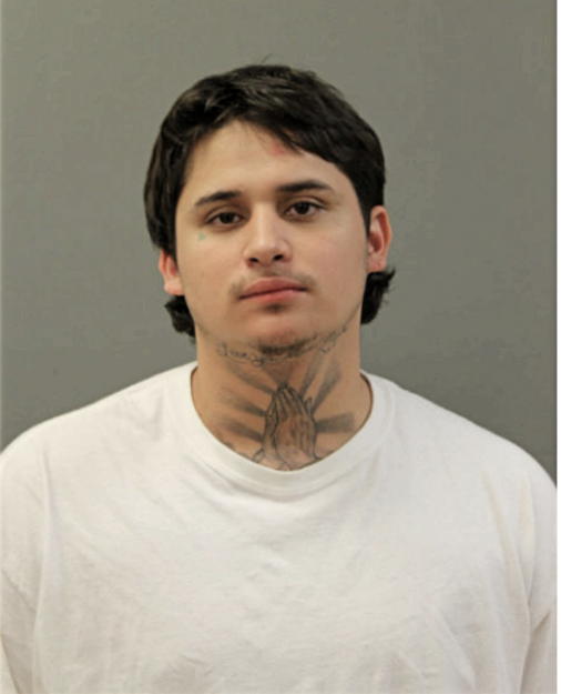 GIOVANNI ZETINA, Cook County, Illinois