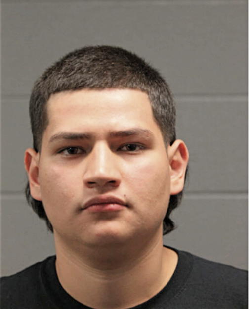 FRANCISCO ALVARES, Cook County, Illinois