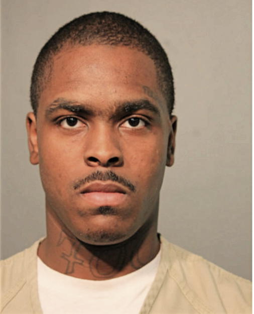MICHAEL ANDERSON, Cook County, Illinois