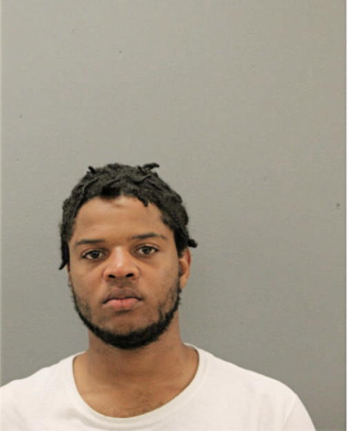JULIAN T ASH, Cook County, Illinois