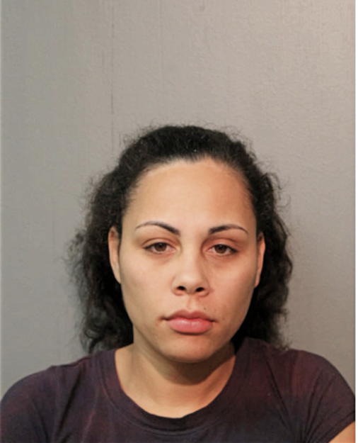 ANNA M BIES, Cook County, Illinois