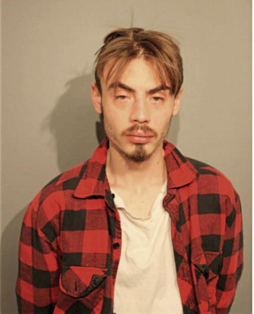 DAVID M BOSHES, Cook County, Illinois