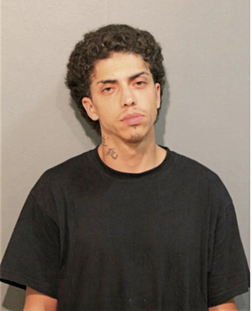 MICHAEL BRAVO, Cook County, Illinois