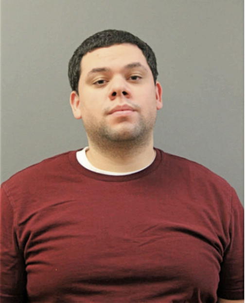 JOSEPH W DIAZ, Cook County, Illinois