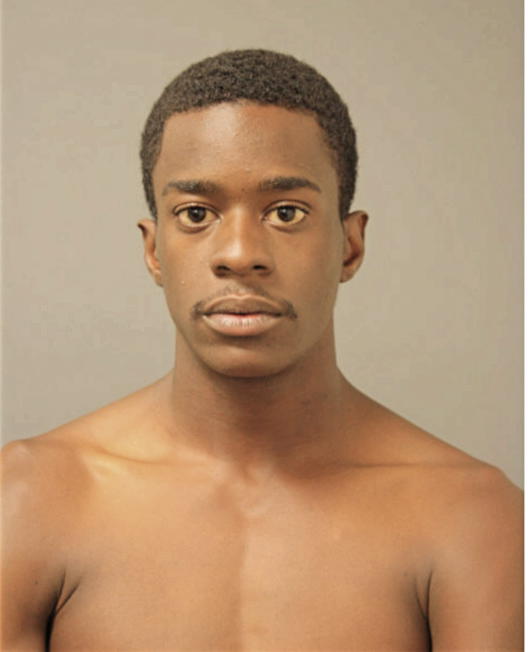 JARVIS C EVANS, Cook County, Illinois
