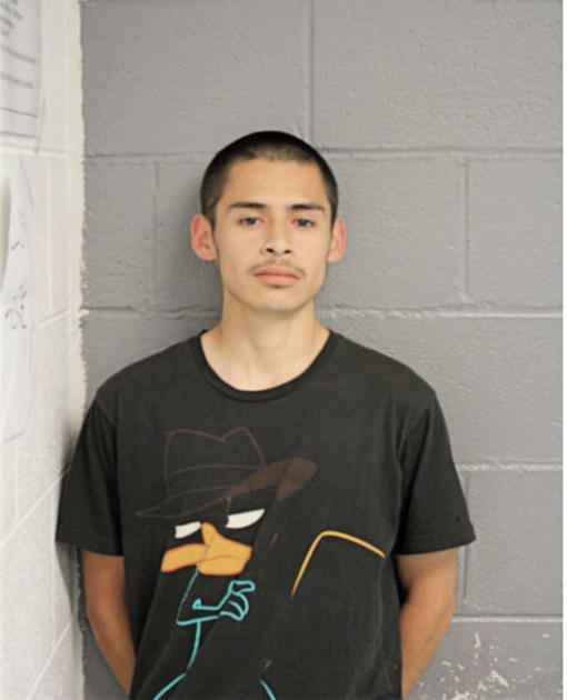 DENNIS N FERNANDEZ, Cook County, Illinois