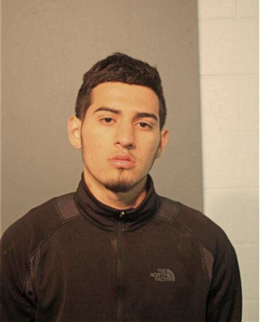 DARIO FLORES, Cook County, Illinois