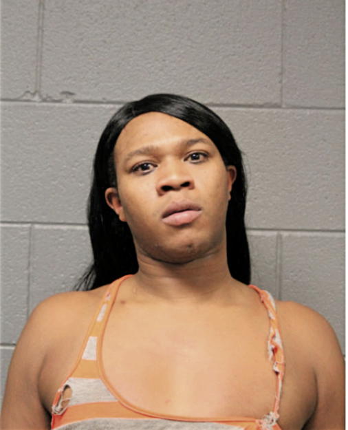 JEFFREY J HOLMES, Cook County, Illinois