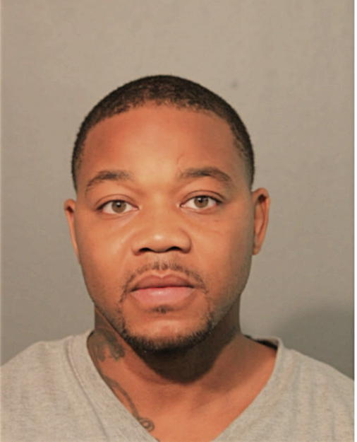 GREGORY L JOHNSON, Cook County, Illinois