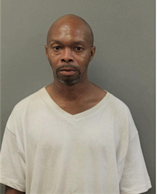 STEVEN V JOHNSON, Cook County, Illinois