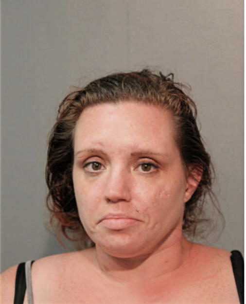 MELISSA L KNOTH, Cook County, Illinois