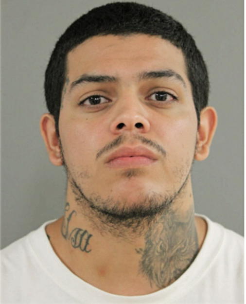 ALEJO MARIO LARIOS, Cook County, Illinois