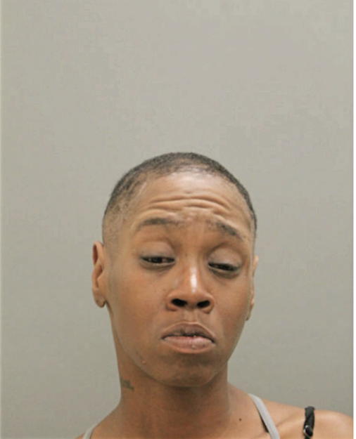 NIKITA T LINDSEY, Cook County, Illinois