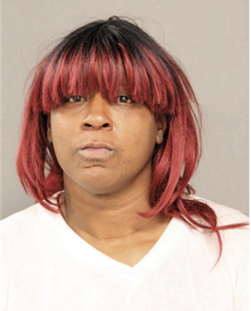 CAROLYN D MCKNIGHT, Cook County, Illinois