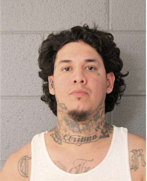 GUSTAVO MENDOZA, Cook County, Illinois