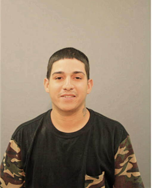 ARCILIO NAVARRO, Cook County, Illinois