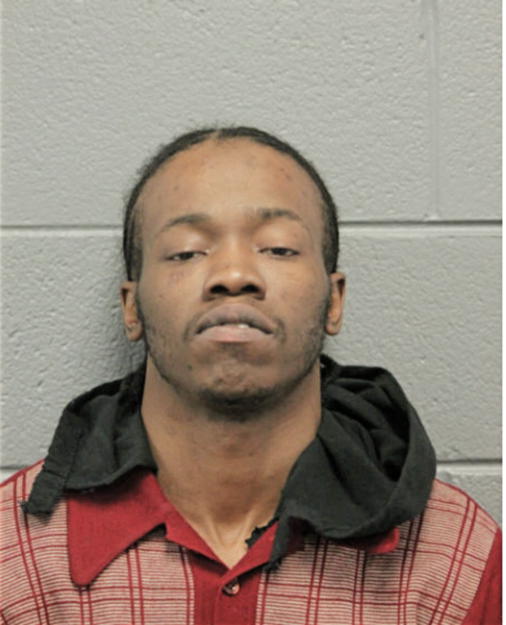 MICHAEL P ROBINSON, Cook County, Illinois
