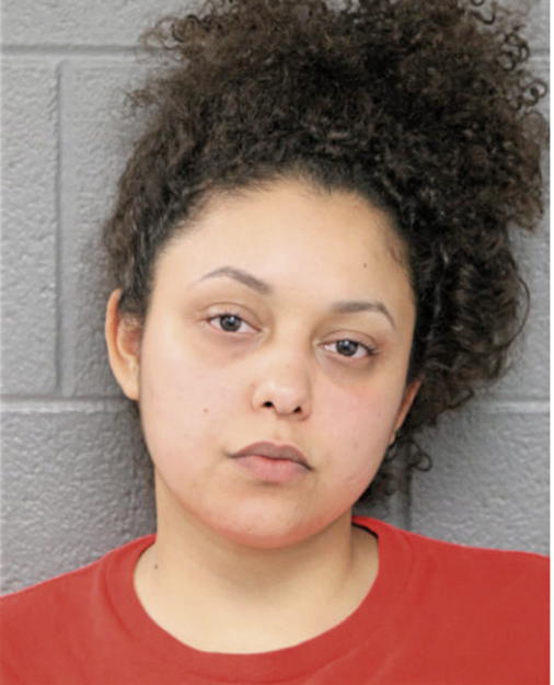 MELISSA M RODRIGUEZ, Cook County, Illinois