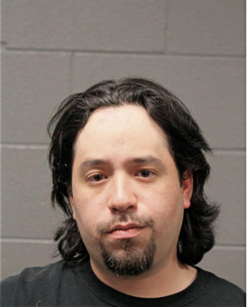 MICHAEL A SANDOVAL, Cook County, Illinois
