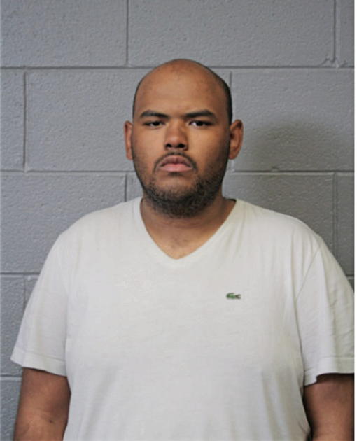 DAVID A SMITH, Cook County, Illinois