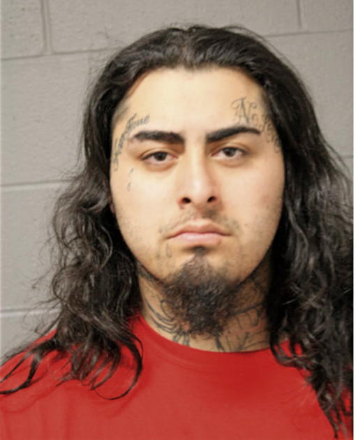FREDDIE AYALA, Cook County, Illinois