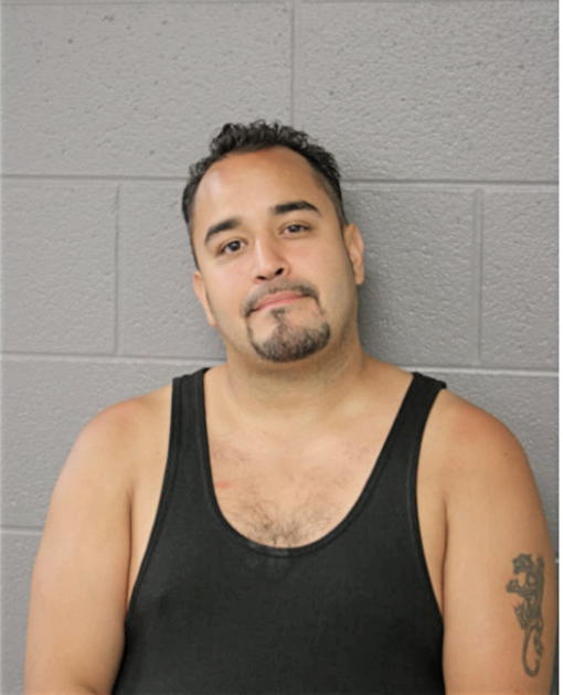 ANTHONY R CONTRERAS, Cook County, Illinois