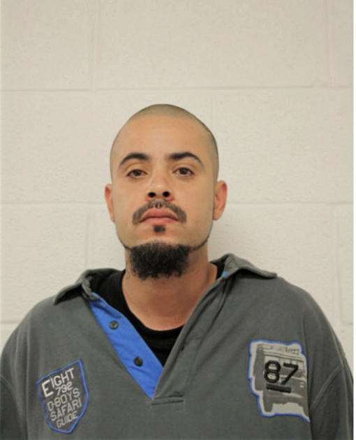ROBERTO E DIAZ, Cook County, Illinois