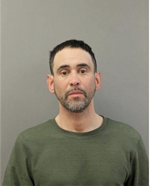 LUIS C FLORES, Cook County, Illinois