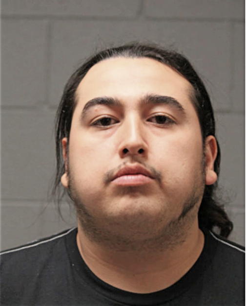 ROBERT V GALLEGOS, Cook County, Illinois