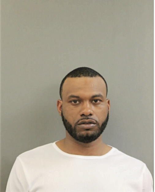 LAVONTA T GEORGE, Cook County, Illinois