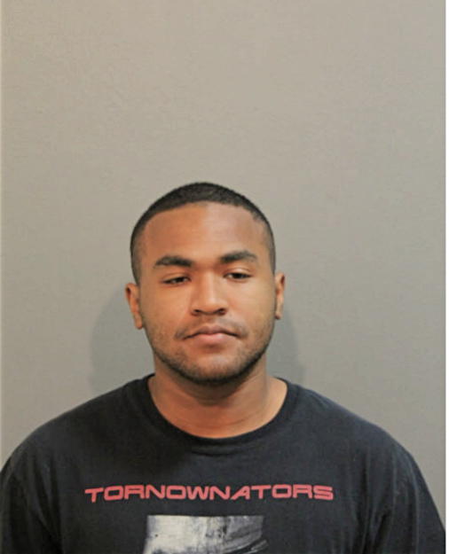DAVID A HERNANDEZ, Cook County, Illinois