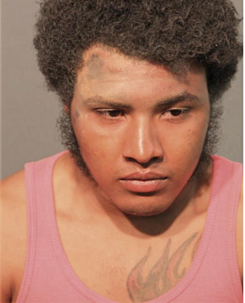 RAYMOND HERNANDEZ, Cook County, Illinois