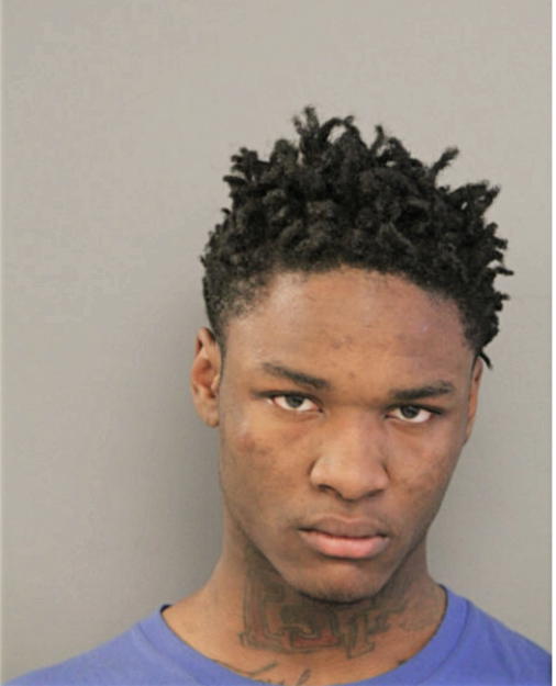 LATROY L HODGES, Cook County, Illinois