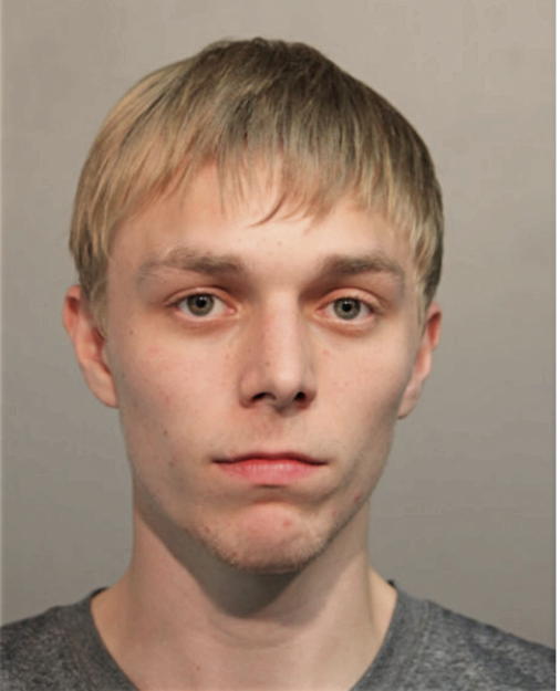 DANIEL T KRIESCHER, Cook County, Illinois