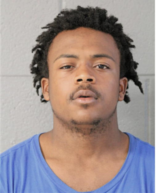 SEAN L KING, Cook County, Illinois