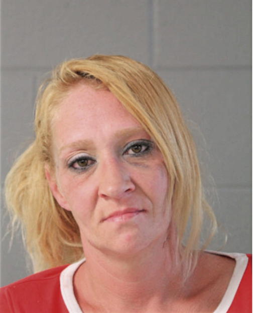 AMY D LONG, Cook County, Illinois