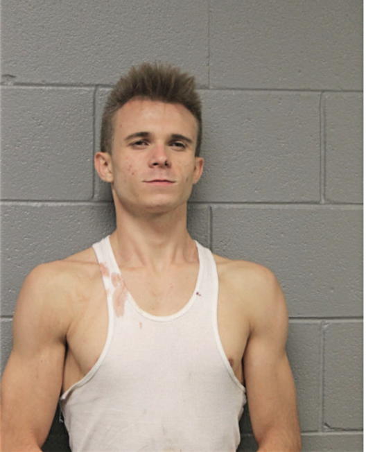 KEVIN J MALEK, Cook County, Illinois