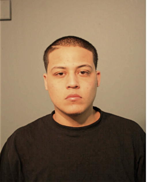 DAVID A MARTINEZ, Cook County, Illinois
