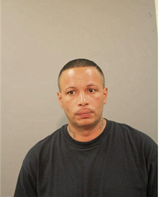ELY S MARTINEZ, Cook County, Illinois