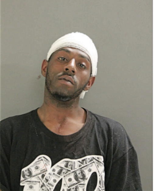 CHRISTOPHER J MCCLELLAND, Cook County, Illinois
