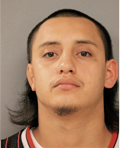 EDILBERTO MENDOZA, Cook County, Illinois