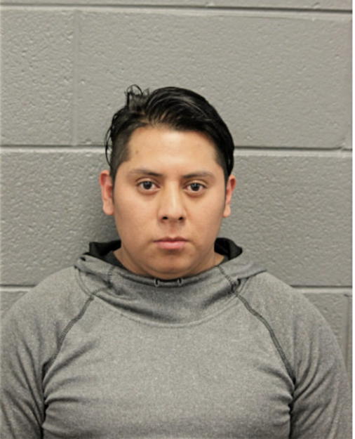 JOSE M QUITUIZACA-SUCUNOTA, Cook County, Illinois