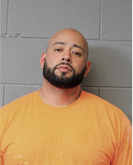 JORGE SANTOYO, Cook County, Illinois