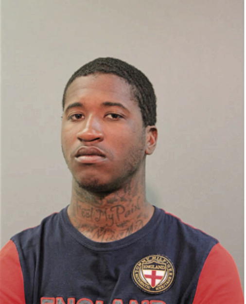 LANCE D SIMS, Cook County, Illinois