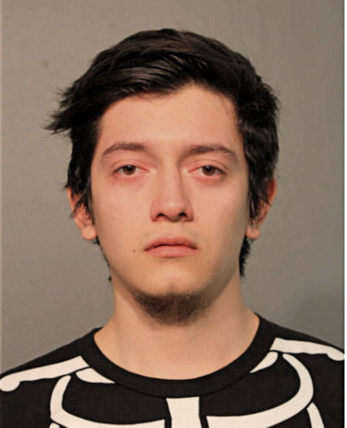ALFONSO ADRIAN VILLA-ROCHLIN, Cook County, Illinois