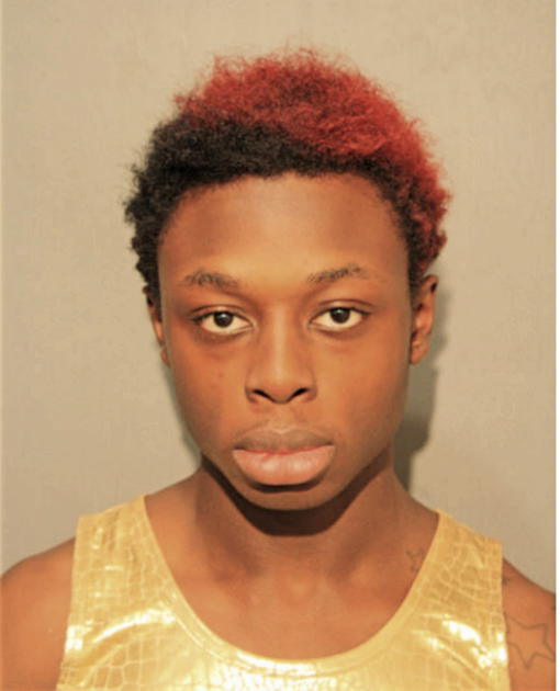 CASHMERE ANDERSON, Cook County, Illinois