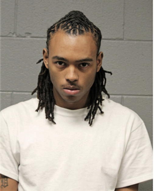 DAVID D CALVIN, Cook County, Illinois
