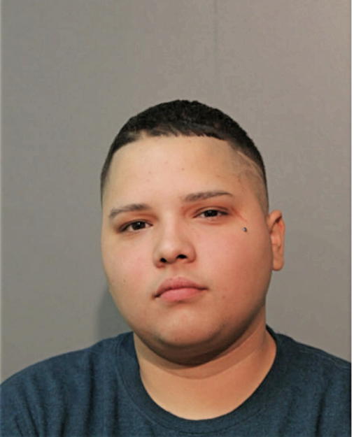 ANGUELIQUE J CASTRO, Cook County, Illinois