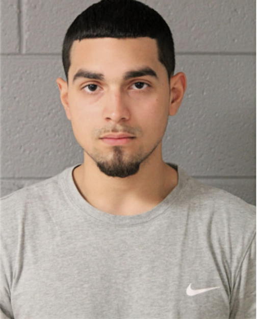 FABIAN A CHAVARRIA, Cook County, Illinois